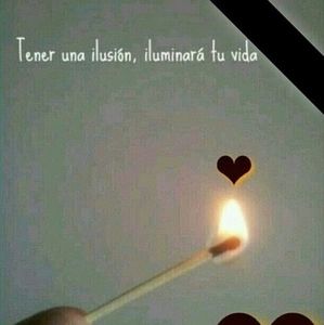 Meet your Posher, Evelyn